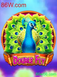 DoubleFly: Um Guia Completo para o Novo Sensação dos Jogos